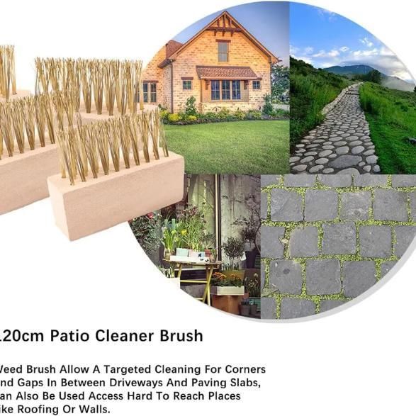 Hard Wire Weed Removal Brush Tool